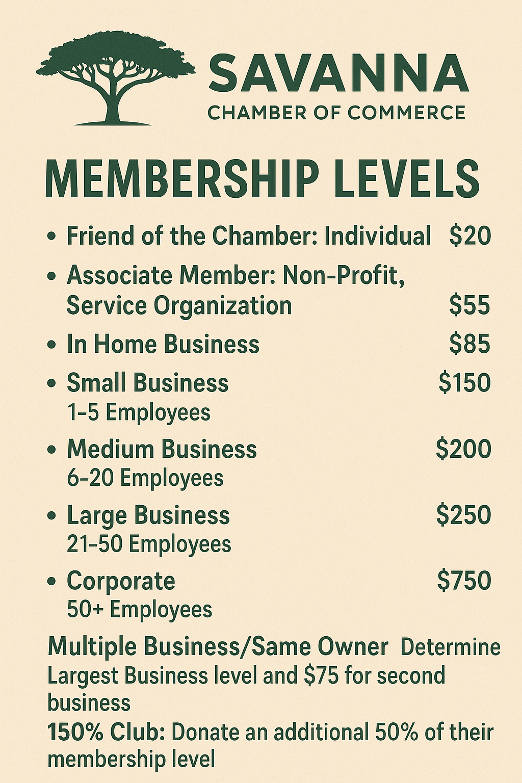 Flyer